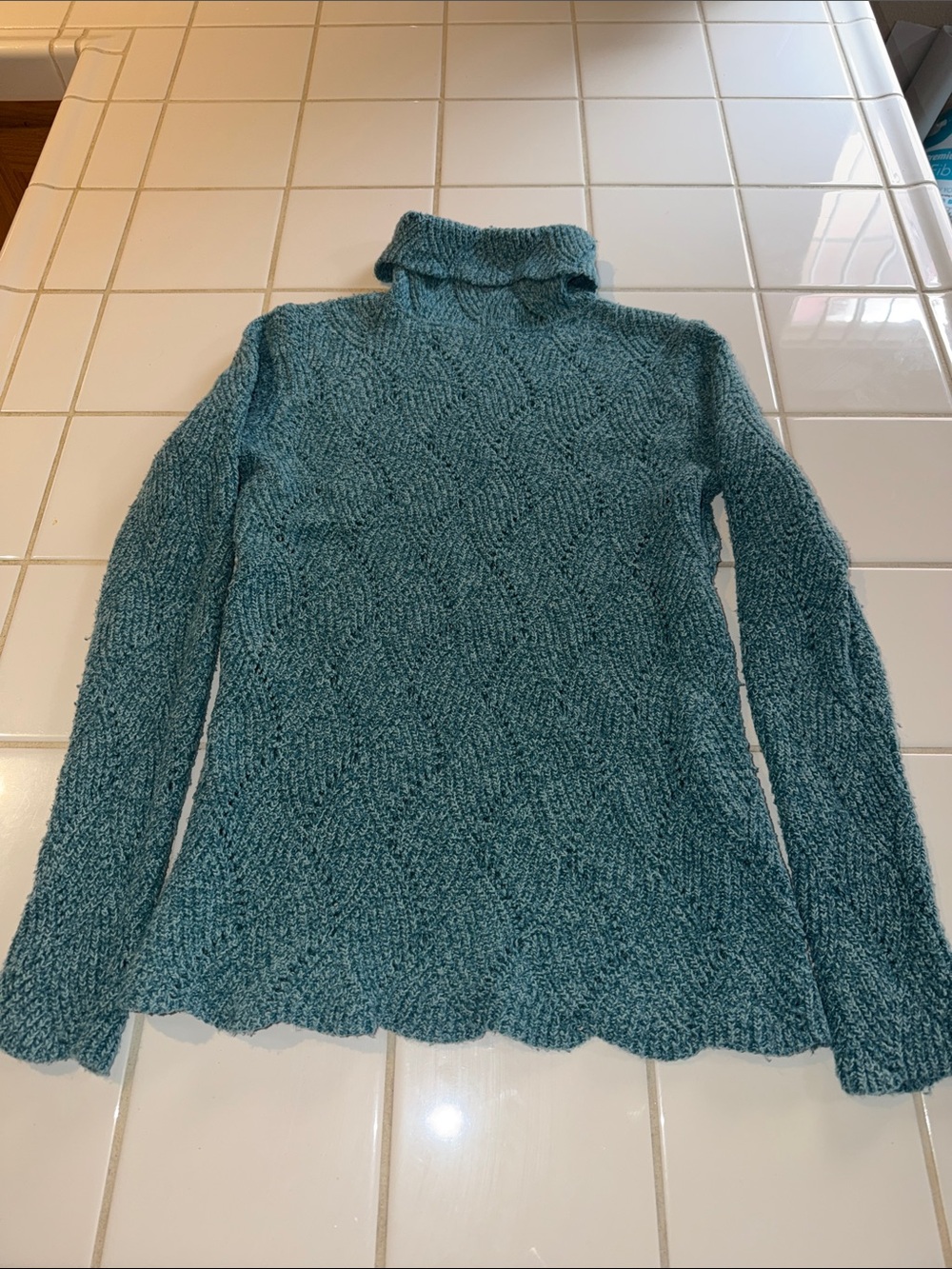 Sundance Turtleneck Sweater Medium Cotton Acrylic Silk Nylon Champlain teal 🐈‍⬛